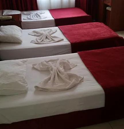 Demir Otel 3*